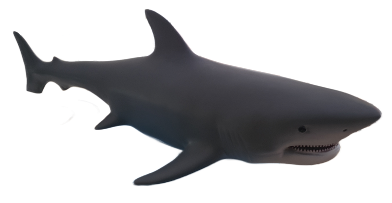 Impression 3D d'un requin de 2 mètres de long